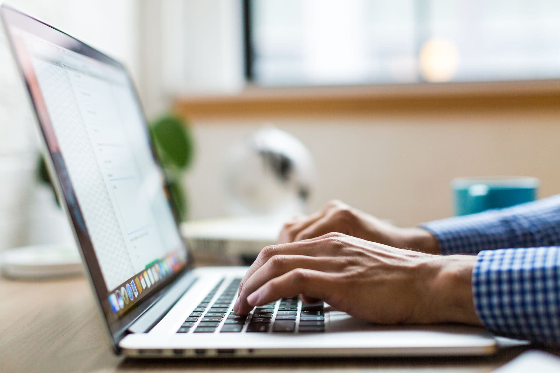 Content & Social Engines services